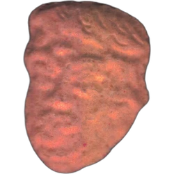 Pink Trump ecstasy pill (XTC) — MDMA 204mg — Barcelona, Spain