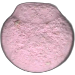 Pink Mushroom pill — 2C-B 9mg — Barcelona, Spain