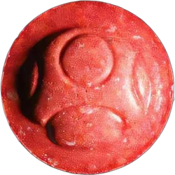 Orange Monkey ecstasy pill (XTC) — 2C-B 13mg — Biel, Switzerland