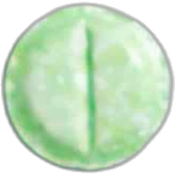 Таблетка LSD — 2