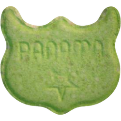 Piolla Owl (Panama) — 2