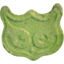 Piolla Owl (Panama)