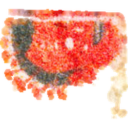 Tableta LSD (95µg)