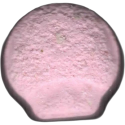 Pink Mushroom pill — 2C-B 11mg — Barcelona, Spain