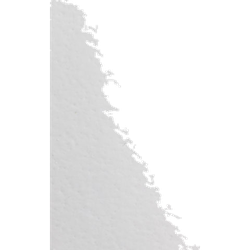 LSD (42µg)-pille