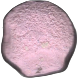 Pink Unknown pill — 2C-B 8mg — Barcelona, Spain