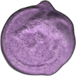 Purple Wolf pill — MDMA 211mg — Barcelona, Spain
