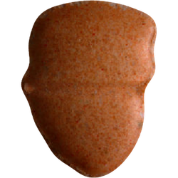 Tabletka Trump — 2