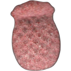 Pink Pina ecstasy pill (XTC) — MDMA 172mg — Barcelona, Spain