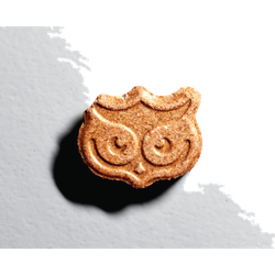 Panama, Owl, Trip Advisor hapı