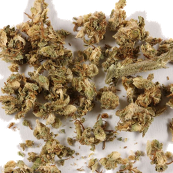 Brown Crystals pill — THC 12.3% — Zürich, Switzerland