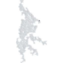 Tabletka 2C-B — 2