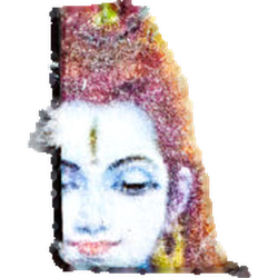Tabletka Shiva