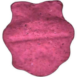 Pink 1 Up pill — 2C-B 9mg — Girona, Spain