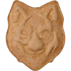 Tabletka Wolf, 2C-B