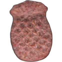 Brown Pina ecstasy pill (XTC) — MDMA 163mg — Barcelona, Spain