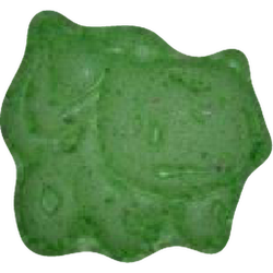 Tabletka Bisasam, Pokemon