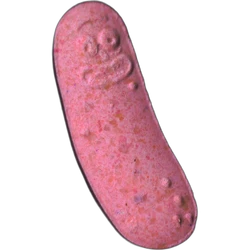 Pink Pickle Rick ecstasy pill (XTC) — MDMA 187mg — Madrid, Spain
