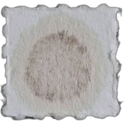 LSD (200µg); iso-LSD (172µg)-pil — 2
