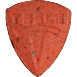 Piolla Tesla