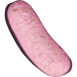 Pink Pickle Rick ecstasy pill (XTC) — MDMA 288mg — Madrid, Spain