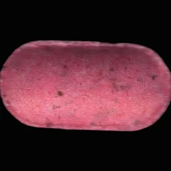 Pink No Logo pill — LSD 154µg — Madrid, Spain