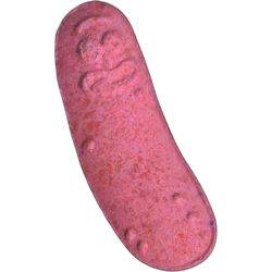 Pink Pickle Rick ecstasy pill (XTC) — MDMA 200mg — Valladolid, Spain