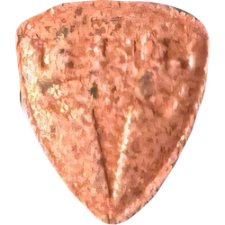 Tabletka Tesla