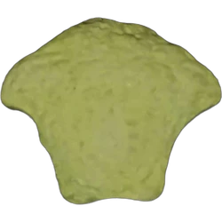 Yellow Versace ecstasy pill (XTC) — MDMA 214mg — Málaga, Spain