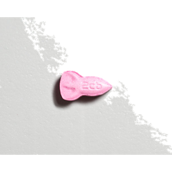 Tableta NASA — 2