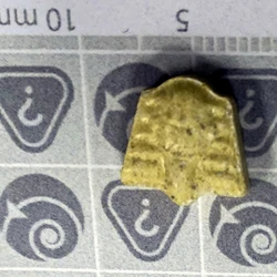 Yellow Pharaoh ecstasy pill (XTC) — MDMA x1-2 — New Zealand