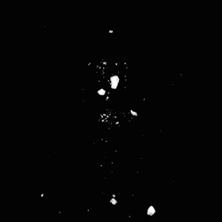 Cocaine (57%); Procaine (33%) hapı