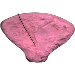 Pink Simba pill — 2C-B 16mg — Madrid, Spain