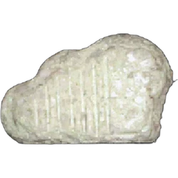 Green NL ecstasy pill (XTC) — MDMA 176mg — Innsbruck, Austria