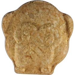 Orange Monkey ecstasy pill (XTC) — MDMA — Zürich, Switzerland