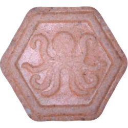 Tabletka Octopus — 2