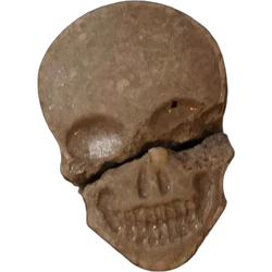 Grey Skull ecstasy pill (XTC) — MDMA 230mg — Berlin, Germany