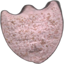 Pink Dom Perignon ecstasy pill (XTC) — MDMA 150mg — Barcelona, Spain