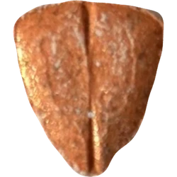 حبّة Tesla — 2