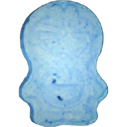 Pillola Doraemon