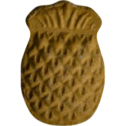Tabletka Ananas