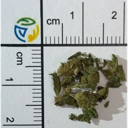 Tabletka MDMB-4en-PINACA; CBD — 2