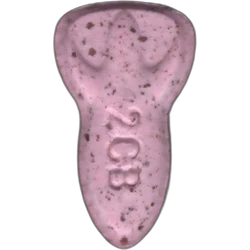 NASA hapı — 2