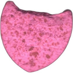 Pink Shield ecstasy pill (XTC) — MDMA 110mg — Barcelona, Spain