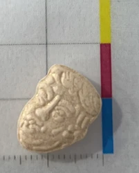 White Trump ecstasy pill (XTC) — MDMA x2-3 — North Island, New Zealand
