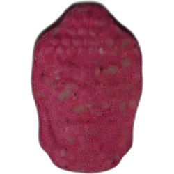 Pink Buddha pill — MDMA 181mg — Berlin, Germany