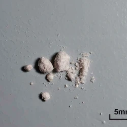 Tabletka 2C-B (78%); Ketamine (4%)