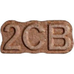 Brown 2C-B pill — 2C-B 13mg — Marseille, France