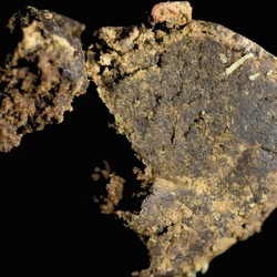 Brown Crystal pill — ADB-BUTINACA {'value': None, 'unit': None, 'isTraceAmount': False} — Basel, Switzerland