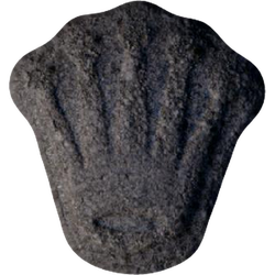 Grey Rolex ecstasy pill (XTC) — MDMA 169mg — Vienna, Austria